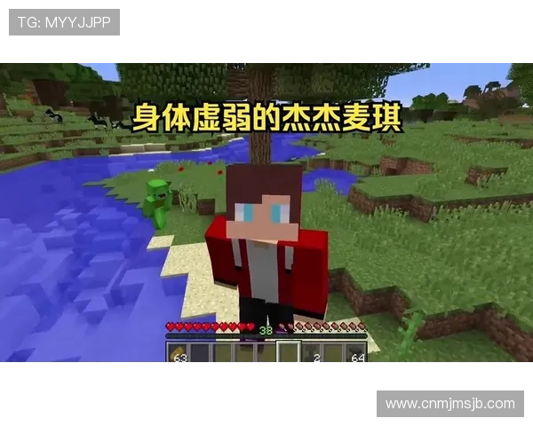 我的世界杯：我的足球故事与那些激动人心的比赛瞬间回忆