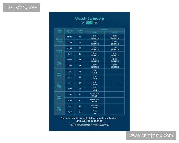 2026年世界杯决赛现场观赛指南，购票攻略与最佳观赛地点推荐全方位解析