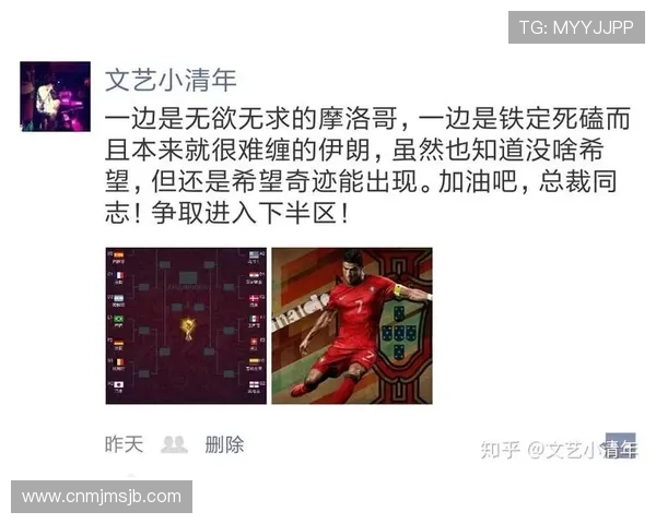 世界杯比利时伊朗比赛球员评分及赛后技术统计详细解析